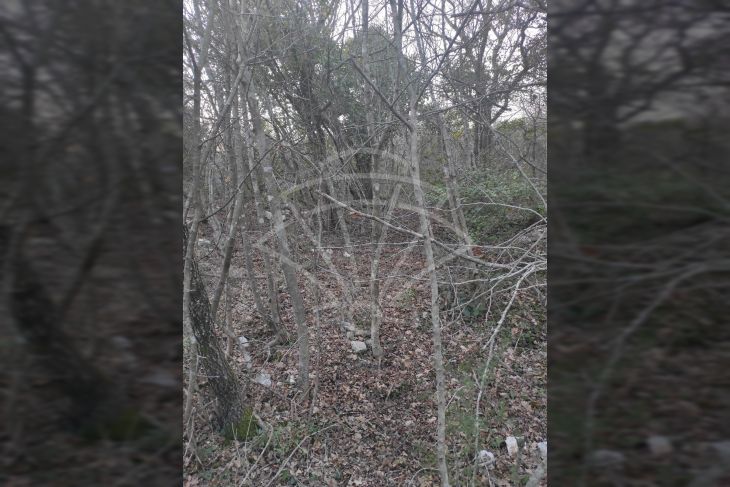 Zemljište - ostalo, Prodaja, Marčana, Peruški Zemljište - ostalo, Prodaja, Marčana, Peruški