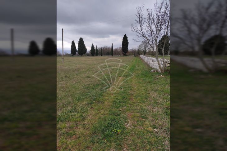 Poljoprivredno zemljište, Prodaja, Barban, Barban