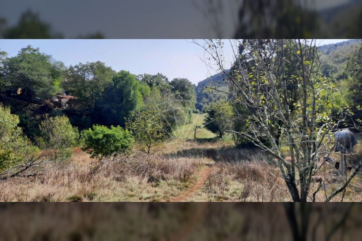 Građevinsko mješovito, Prodaja, Čavle, Podrvanj Građevinsko mješovito, Prodaja, Čavle, Podrvanj
