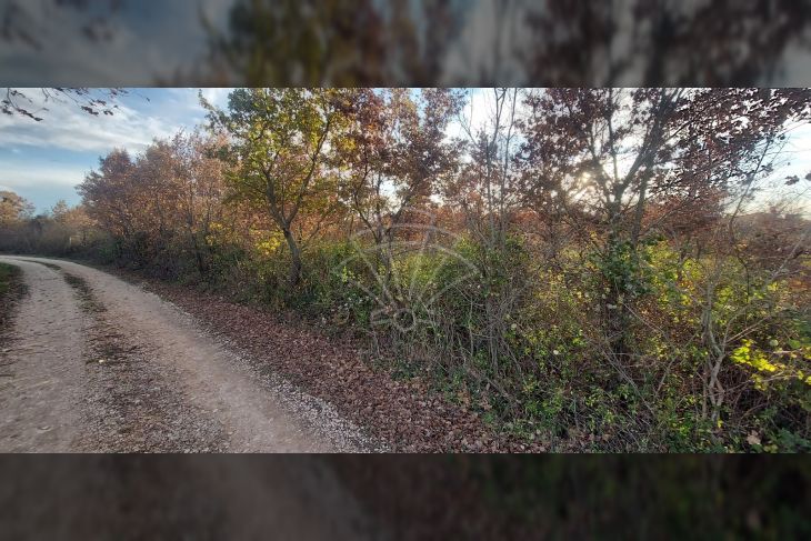 Građevinsko zemljište, Prodaja, Višnjan, Žikovići Građevinsko zemljište, Prodaja, Višnjan, Žikovići