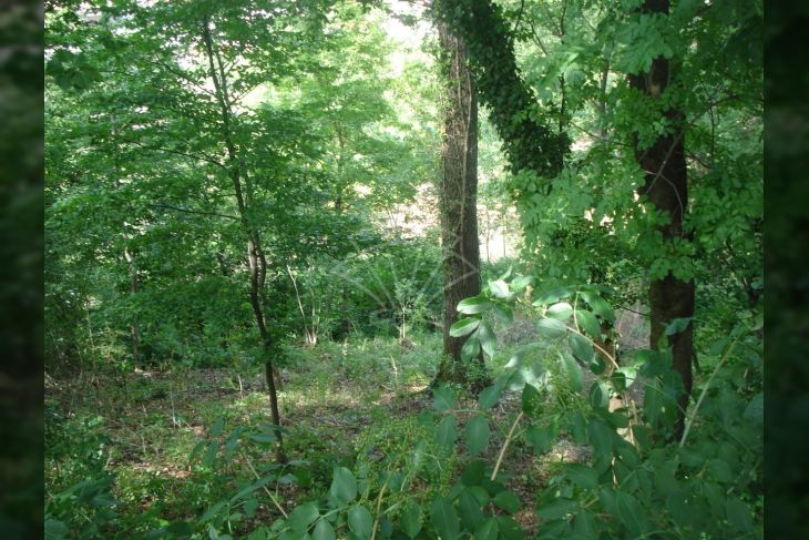 Građevinsko, Prodaja, Čavle, Čavle Građevinsko, Prodaja, Čavle, Čavle