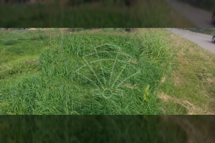 Građevinsko zemljište, Prodaja, Višnjan, Višnjan Građevinsko zemljište, Prodaja, Višnjan, Višnjan