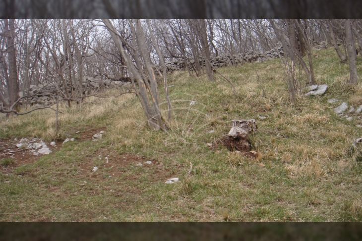 Poljoprivredno zemljište, Prodaja, Jelenje, Podhum