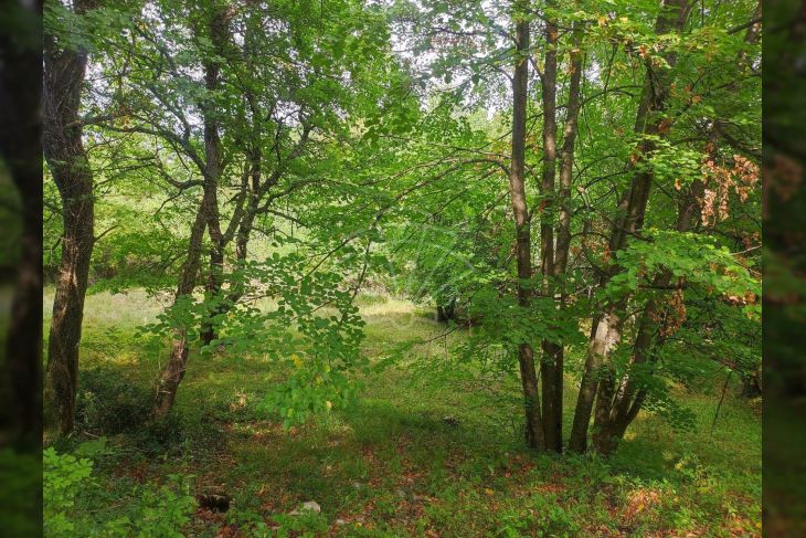 Samostojeća kuća, Prodaja, Kastav, Rešetari Samostojeća kuća, Prodaja, Kastav, Rešetari