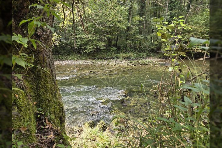 Poljoprivredno zemljište, Prodaja, Vrbovsko, Vrbovsko