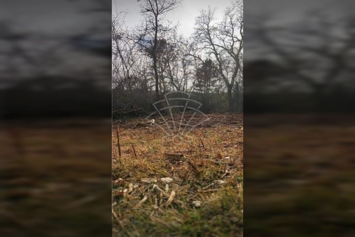Građevinsko stambeno zemljište, Prodaja, Grožnjan, Završje Građevinsko stambeno zemljište, Prodaja, Grožnjan, Završje