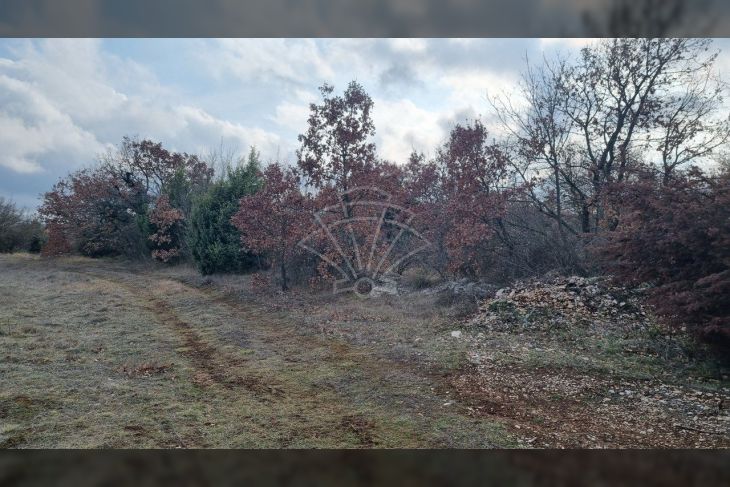 Poljoprivredno zemljište, Prodaja, Svetvinčenat, Smoljanci Poljoprivredno zemljište, Prodaja, Svetvinčenat, Smoljanci