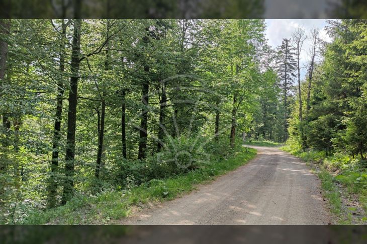 Poljoprivredno zemljište, Prodaja, Fužine, Fužine Poljoprivredno zemljište, Prodaja, Fužine, Fužine
