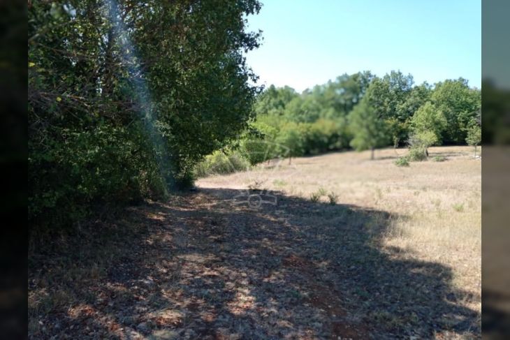 Građevinsko zemljište, Prodaja, Poreč, Bonaci Građevinsko zemljište, Prodaja, Poreč, Bonaci