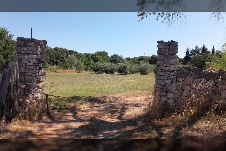 Šuma, Prodaja, Rovinj, Rovinj Šuma, Prodaja, Rovinj, Rovinj