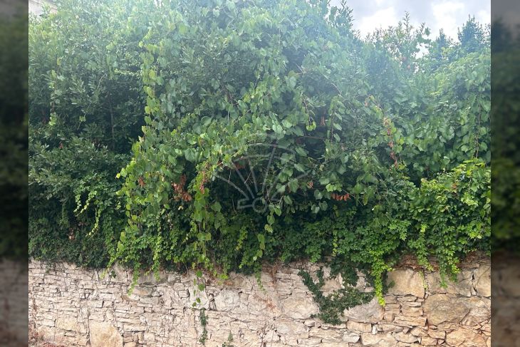 Građevinsko stambeno zemljište, Prodaja, Pula, Pula