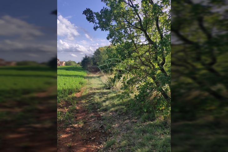 Građevinsko zemljište, Prodaja, Žminj, Laginji Građevinsko zemljište, Prodaja, Žminj, Laginji