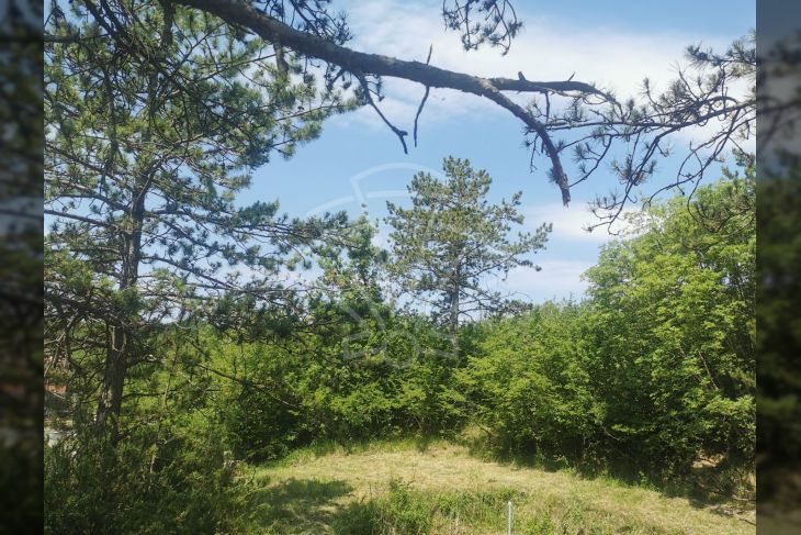 Poljoprivredno zemljište, Prodaja, Lupoglav, Lesišćina Poljoprivredno zemljište, Prodaja, Lupoglav, Lesišćina