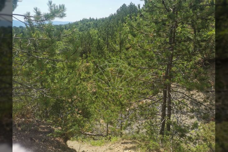 Poljoprivredno zemljište, Prodaja, Lupoglav, Lesišćina