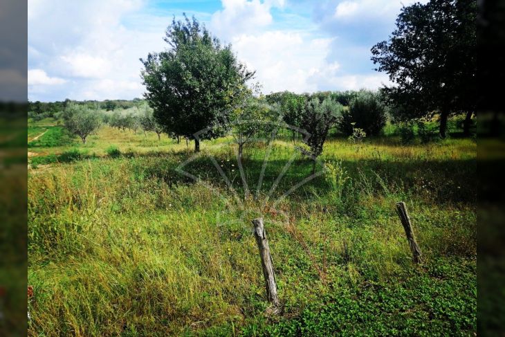 Građevinsko mješovito, Prodaja, Poreč, Poreč Građevinsko mješovito, Prodaja, Poreč, Poreč
