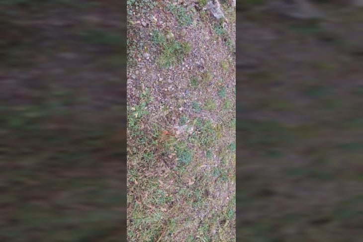Građevinsko zemljište, Prodaja, Matulji, Lipa Građevinsko zemljište, Prodaja, Matulji, Lipa
