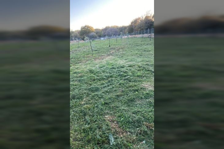 Poljoprivredno zemljište, Prodaja, Dobrinj, Čižići Poljoprivredno zemljište, Prodaja, Dobrinj, Čižići