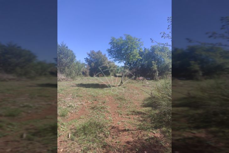 Poljoprivredno zemljište, Prodaja, Vodnjan, Vodnjan Poljoprivredno zemljište, Prodaja, Vodnjan, Vodnjan