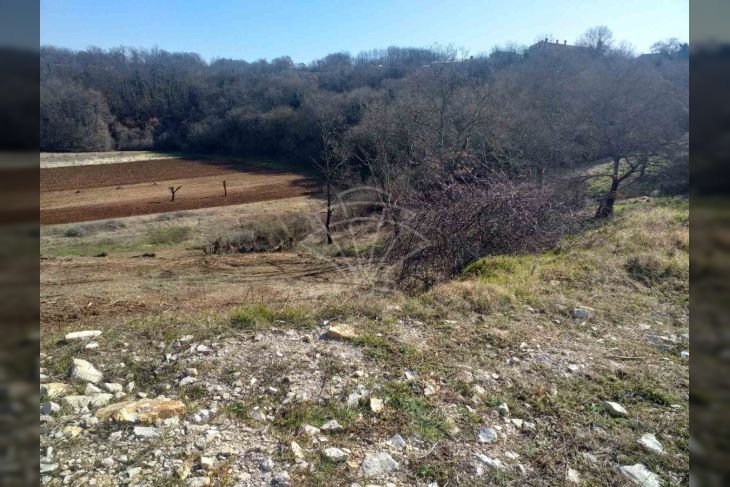 Građevinsko zemljište, Prodaja, Svetvinčenat, Bibići Građevinsko zemljište, Prodaja, Svetvinčenat, Bibići