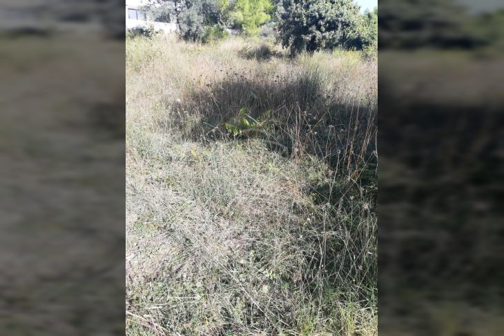 Građevinsko stambeno zemljište, Prodaja, Medulin, Medulin Građevinsko stambeno zemljište, Prodaja, Medulin, Medulin