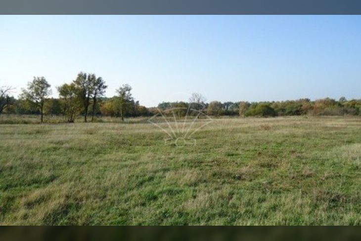 Poljoprivredno zemljište, Prodaja, Bale, Krmed Poljoprivredno zemljište, Prodaja, Bale, Krmed