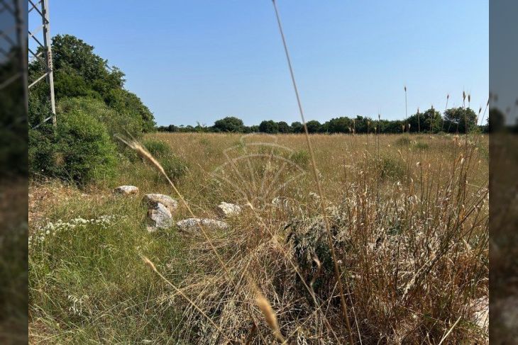 Poljoprivredno zemljište, Prodaja, Ližnjan, Šišan