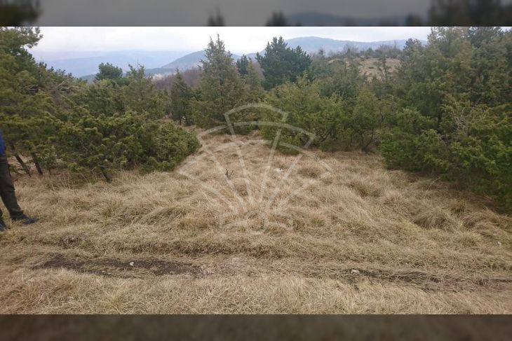 Poljoprivredno zemljište, Prodaja, Matulji, Lipa Poljoprivredno zemljište, Prodaja, Matulji, Lipa