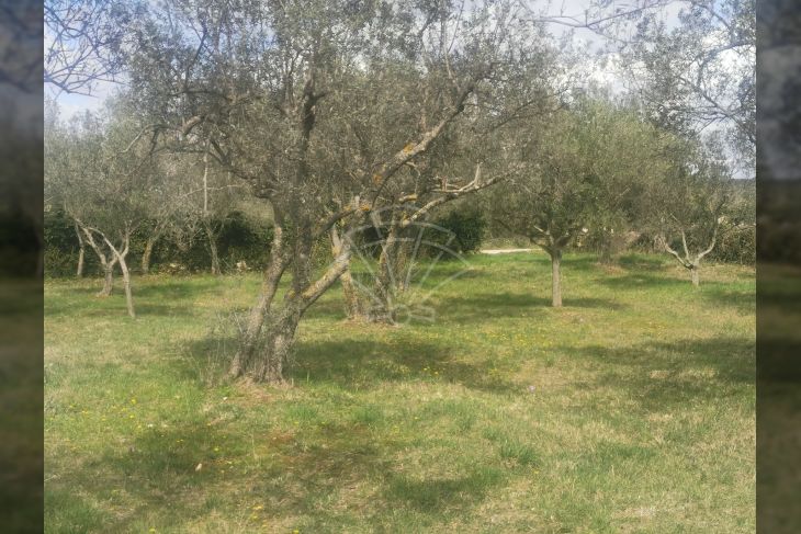 Poljoprivredno zemljište, Prodaja, Fažana, Fažana Poljoprivredno zemljište, Prodaja, Fažana, Fažana