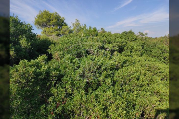 Građevinsko zemljište, Prodaja, Medulin, Vintijan Građevinsko zemljište, Prodaja, Medulin, Vintijan