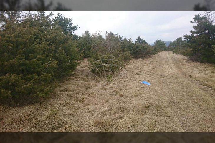 Poljoprivredno zemljište, Prodaja, Matulji, Lipa