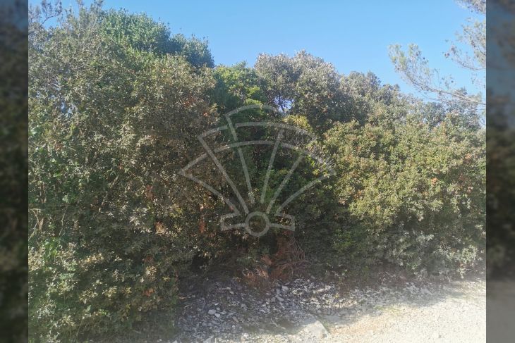 Poljoprivredno zemljište, Prodaja, Marčana, Marčana Poljoprivredno zemljište, Prodaja, Marčana, Marčana