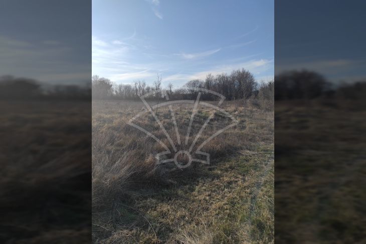 Građevinsko zemljište, Prodaja, Barban, Barban Građevinsko zemljište, Prodaja, Barban, Barban