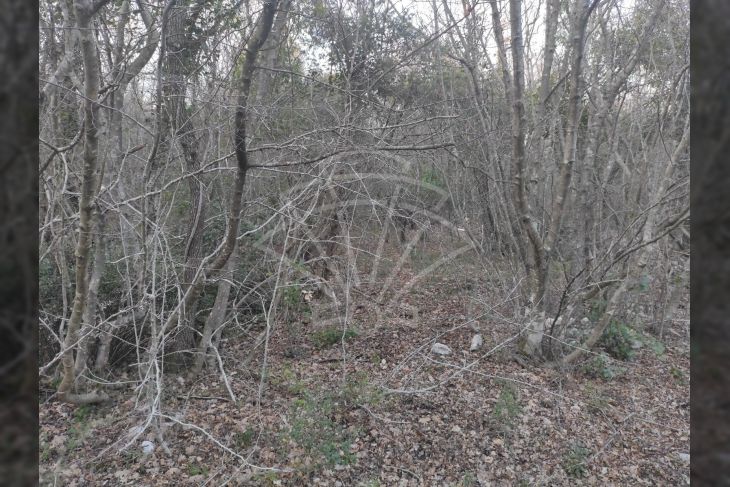 Zemljište - ostalo, Prodaja, Marčana, Peruški Zemljište - ostalo, Prodaja, Marčana, Peruški