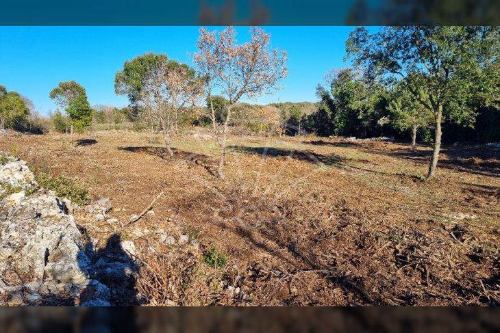 Poljoprivredno zemljište, Prodaja, Marčana, Kavran Poljoprivredno zemljište, Prodaja, Marčana, Kavran