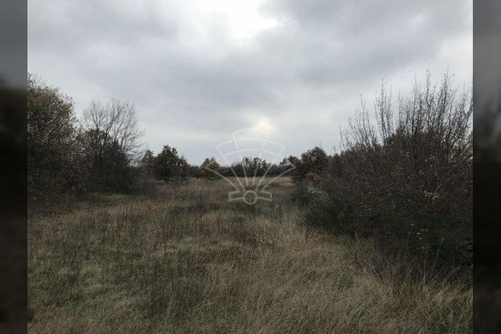 Poljoprivredno zemljište, Prodaja, Svetvinčenat, Raponji Poljoprivredno zemljište, Prodaja, Svetvinčenat, Raponji