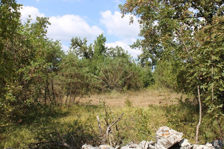 Poljoprivredno zemljište, Prodaja, Marčana, Orbanići Poljoprivredno zemljište, Prodaja, Marčana, Orbanići