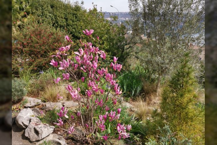 Stan u kući, Najam, Opatija, Opatija