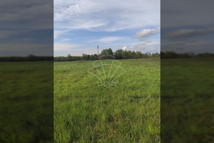 Agricultural plot, Sale, Ližnjan, Šišan