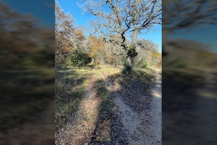 Poljoprivredno zemljište, Prodaja, Kanfanar, Barat