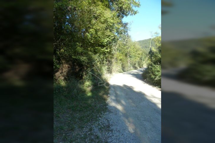 Poljoprivredno zemljište, Prodaja, Ližnjan, Valtura