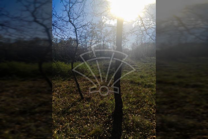 Građevinsko mješovito, Prodaja, Svetvinčenat, Boškari Građevinsko mješovito, Prodaja, Svetvinčenat, Boškari