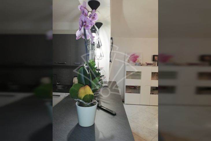 Stan u zgradi, Prodaja, Rovinj, Rovinjsko Selo Stan u zgradi, Prodaja, Rovinj, Rovinjsko Selo