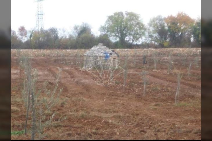 Poljoprivredno zemljište, Prodaja, Vodnjan, Vodnjan Poljoprivredno zemljište, Prodaja, Vodnjan, Vodnjan
