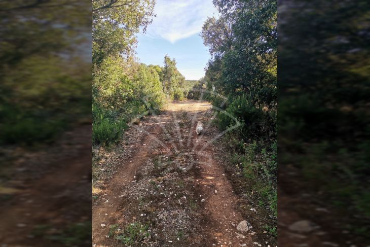 Poljoprivredno zemljište, Prodaja, Marčana, Krnica Poljoprivredno zemljište, Prodaja, Marčana, Krnica