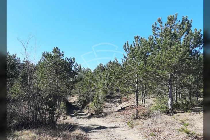 Poljoprivredno zemljište, Prodaja, Lupoglav, Lesišćina Poljoprivredno zemljište, Prodaja, Lupoglav, Lesišćina