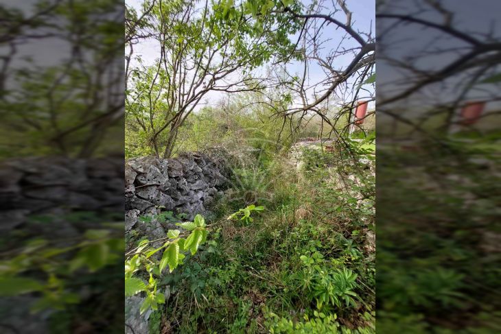 Poljoprivredno zemljište, Prodaja, Krk, Milohnići