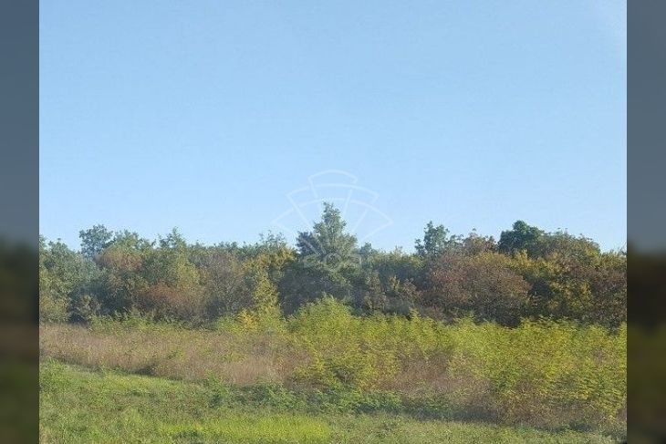 Poljoprivredno zemljište, Prodaja, Malinska-dubašnica, Barušići