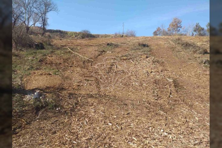 Građevinsko zemljište, Prodaja, Svetvinčenat, Bibići Građevinsko zemljište, Prodaja, Svetvinčenat, Bibići