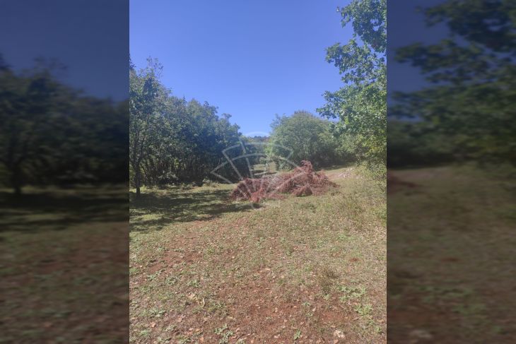 Poljoprivredno zemljište, Prodaja, Vodnjan, Vodnjan Poljoprivredno zemljište, Prodaja, Vodnjan, Vodnjan