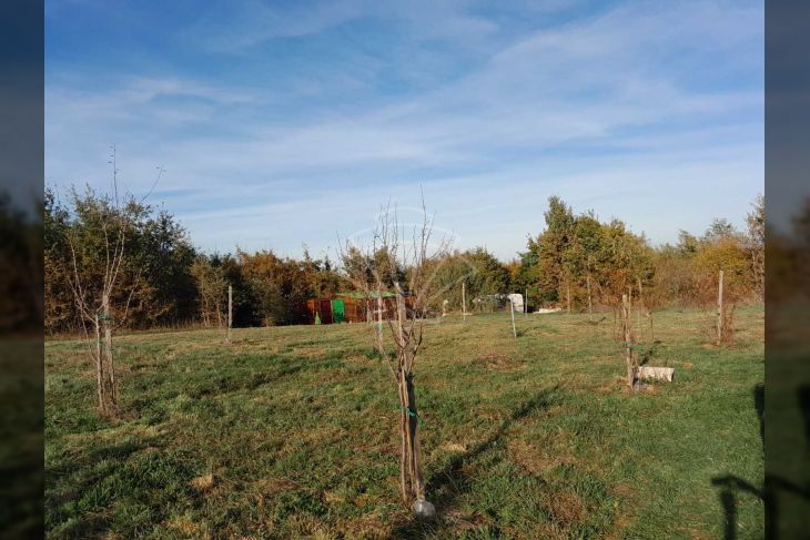Poljoprivredno zemljište, Prodaja, Svetvinčenat, Foli Poljoprivredno zemljište, Prodaja, Svetvinčenat, Foli